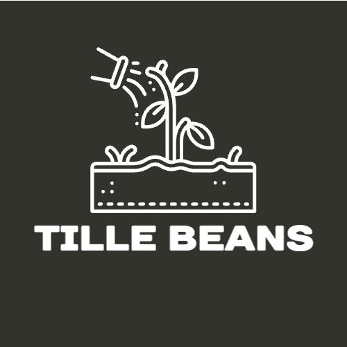 Ambani Book By Tille Beans